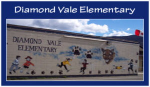 Diamond Vale Button